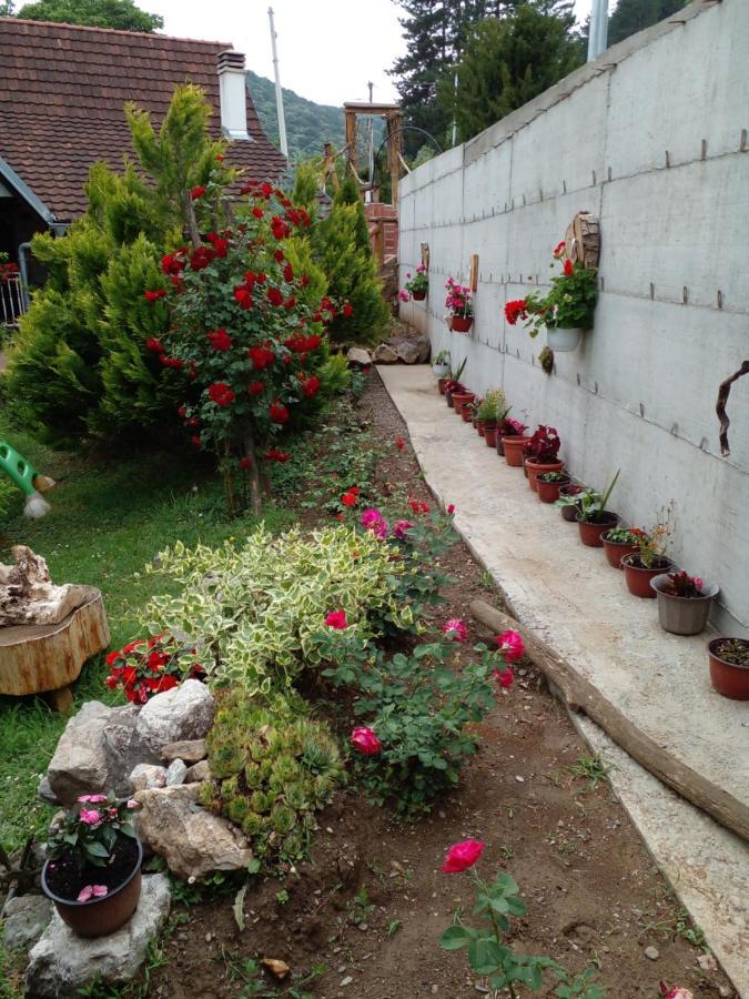 Skriveni Raj Daire Vrdnik Dış mekan fotoğraf