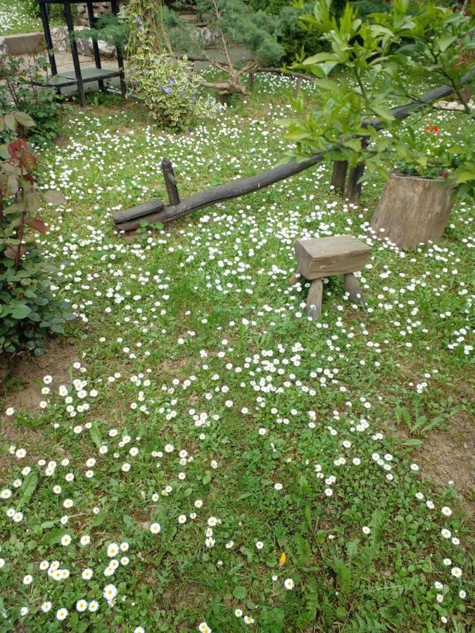 Skriveni Raj Daire Vrdnik Dış mekan fotoğraf