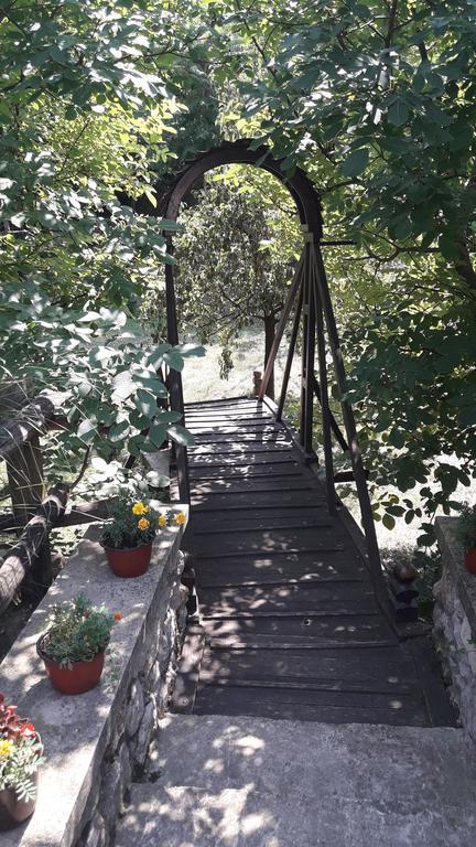 Skriveni Raj Daire Vrdnik Oda fotoğraf