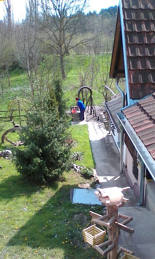 Skriveni Raj Daire Vrdnik Dış mekan fotoğraf