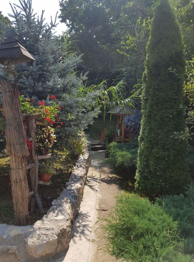 Skriveni Raj Daire Vrdnik Oda fotoğraf