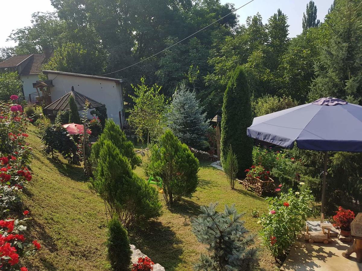 Skriveni Raj Daire Vrdnik Oda fotoğraf