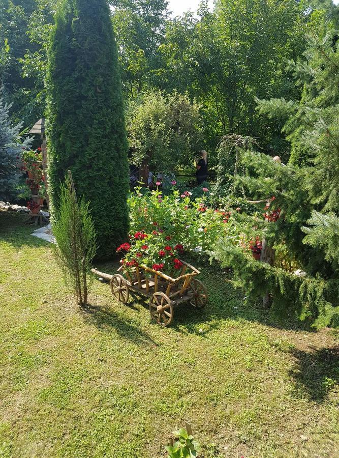 Skriveni Raj Daire Vrdnik Dış mekan fotoğraf