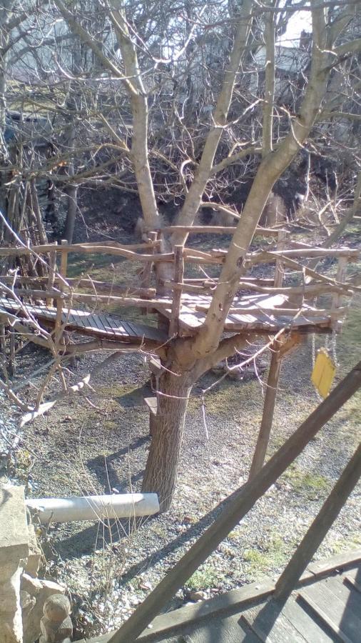 Skriveni Raj Daire Vrdnik Dış mekan fotoğraf