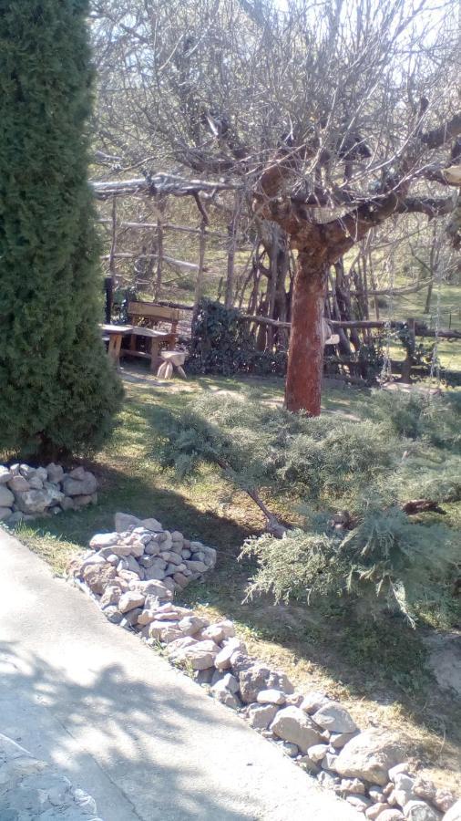 Skriveni Raj Daire Vrdnik Dış mekan fotoğraf