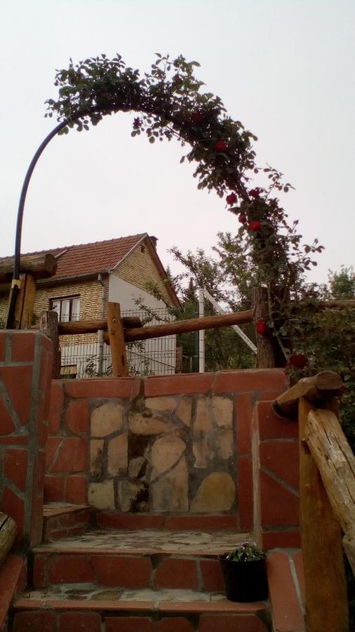 Skriveni Raj Daire Vrdnik Dış mekan fotoğraf
